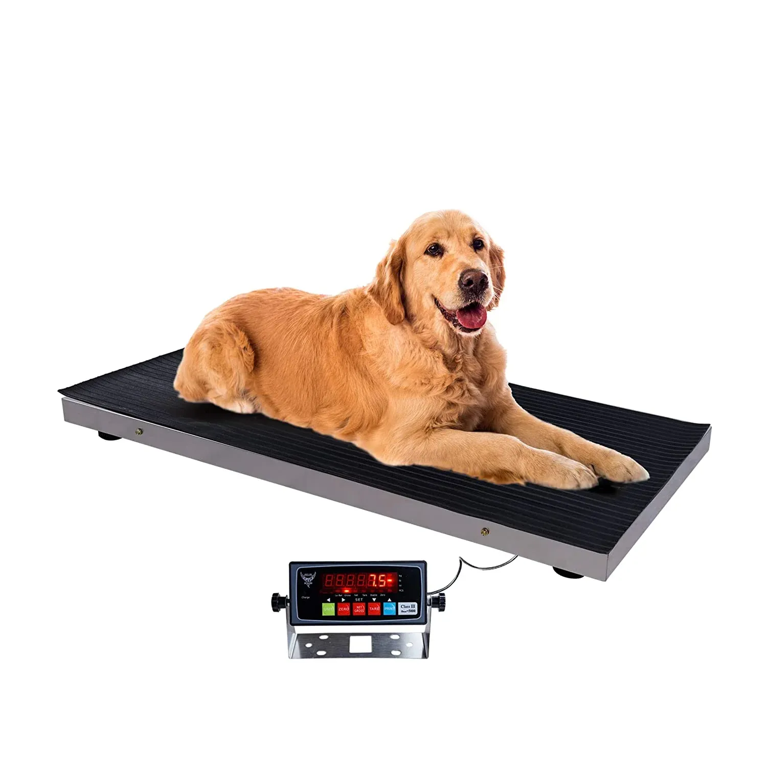 Pèse-chien électronique